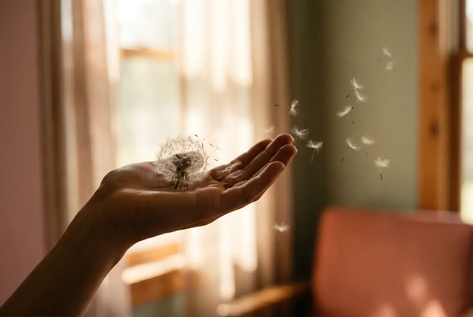 An open hand releasing dandelion seeds into soft, warm light
